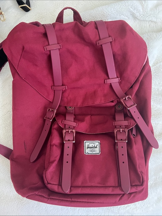jansport bag small medium large Big Student Backpack and 4 pockets for Color:Pine Bark work backpacks IZOD Wisdom Business Travel